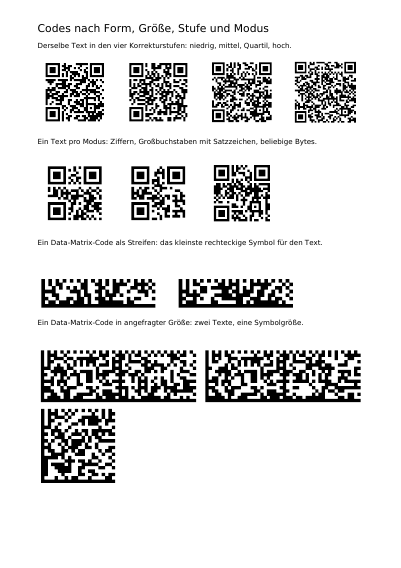 QR- und Data-Matrix-Einstellungen nebeneinander, erste Seite