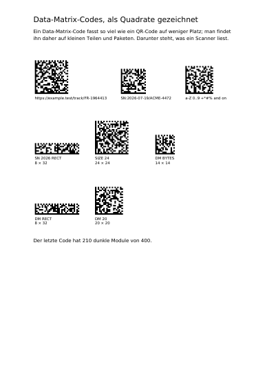 Data-Matrix-Codes, erste Seite