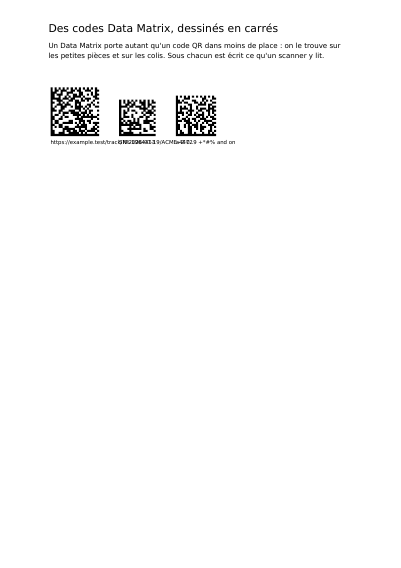 Codes Data Matrix, première page