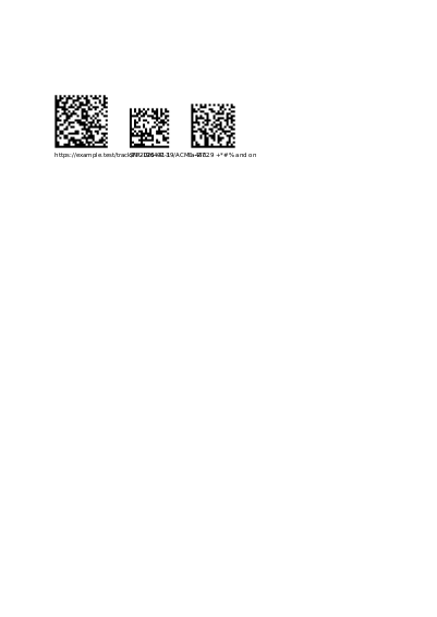 First page of Data Matrix codes