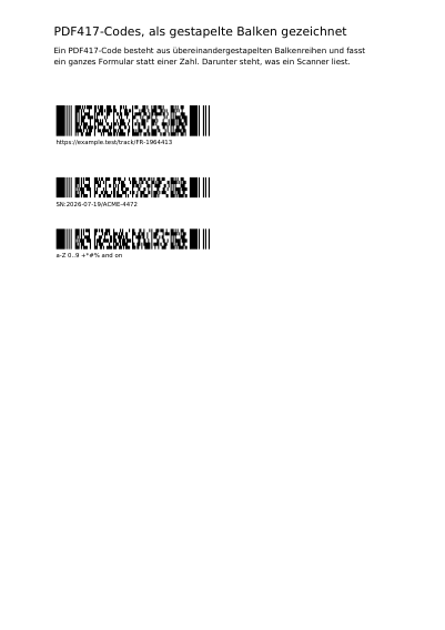 PDF417-Codes, erste Seite