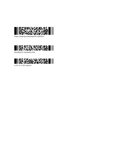 First page of PDF417 codes